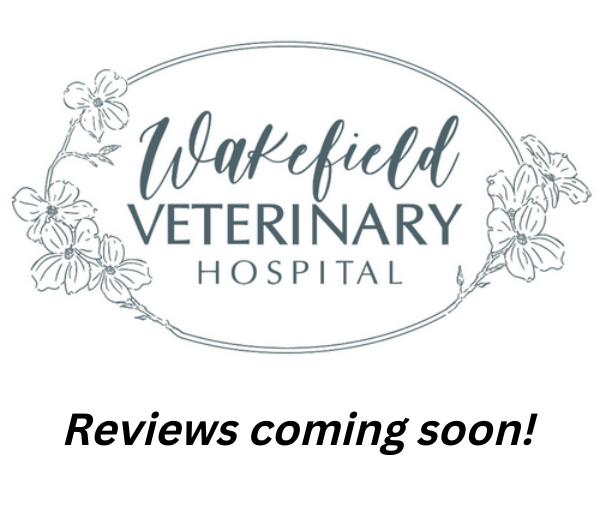 Best Vet Hospital In Raleigh, NC Wakefield Veterinary