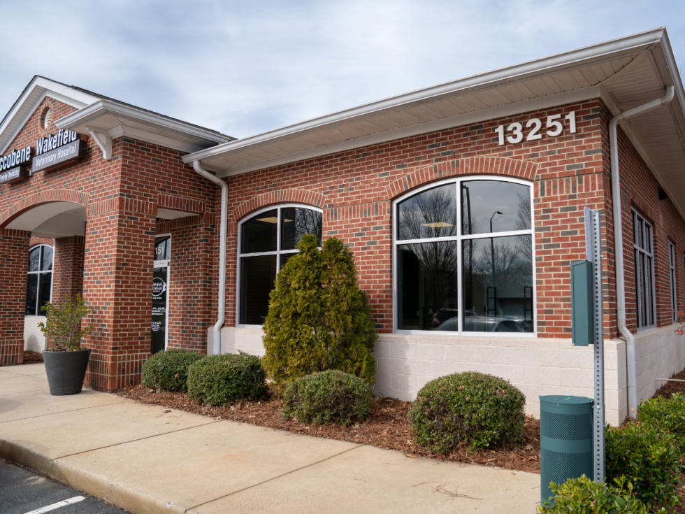 Best Vet Hospital In Raleigh, NC Wakefield Veterinary