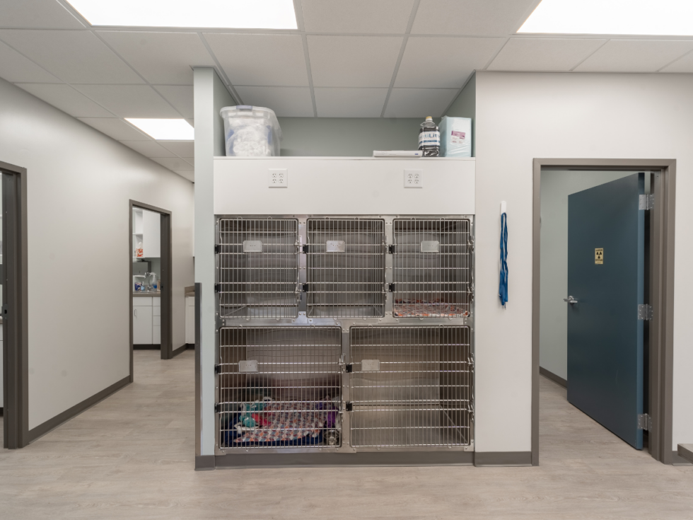 Best Vet Hospital In Raleigh, NC Wakefield Veterinary