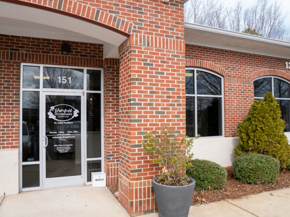 Best Vet Hospital In Raleigh, NC Wakefield Veterinary